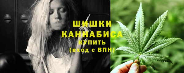 трава Наволоки