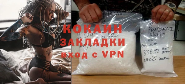 трава Наволоки