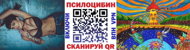 OMG зеркало  Мураши  Псилоцибиновые грибы мицелий  купить наркотик 